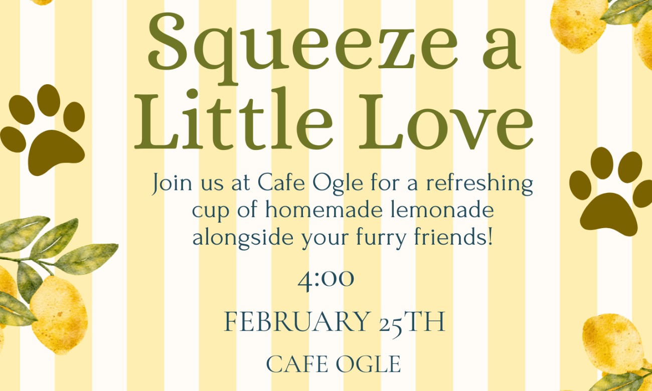 Image of Squeeze a Little Love