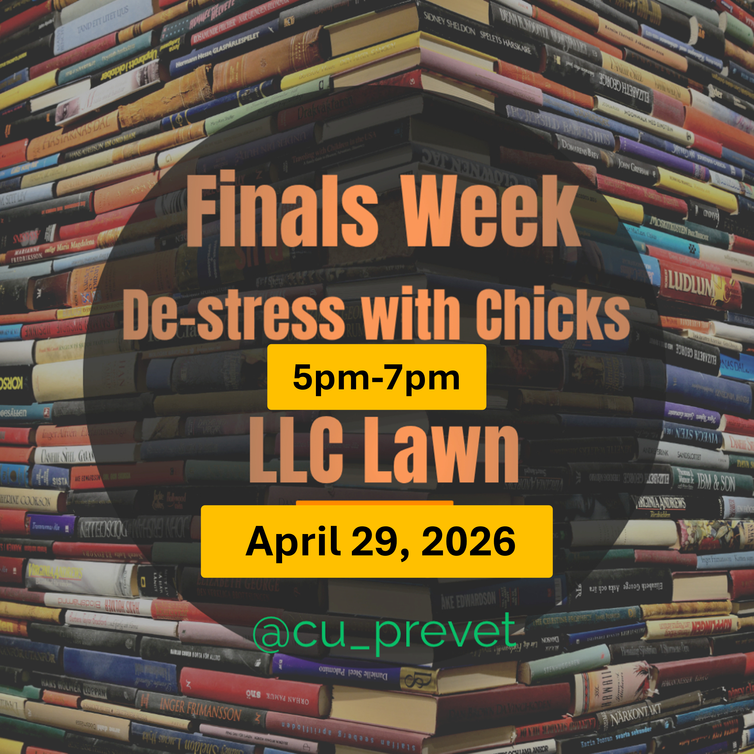 Image of Final Week: De-Stress With Chicks