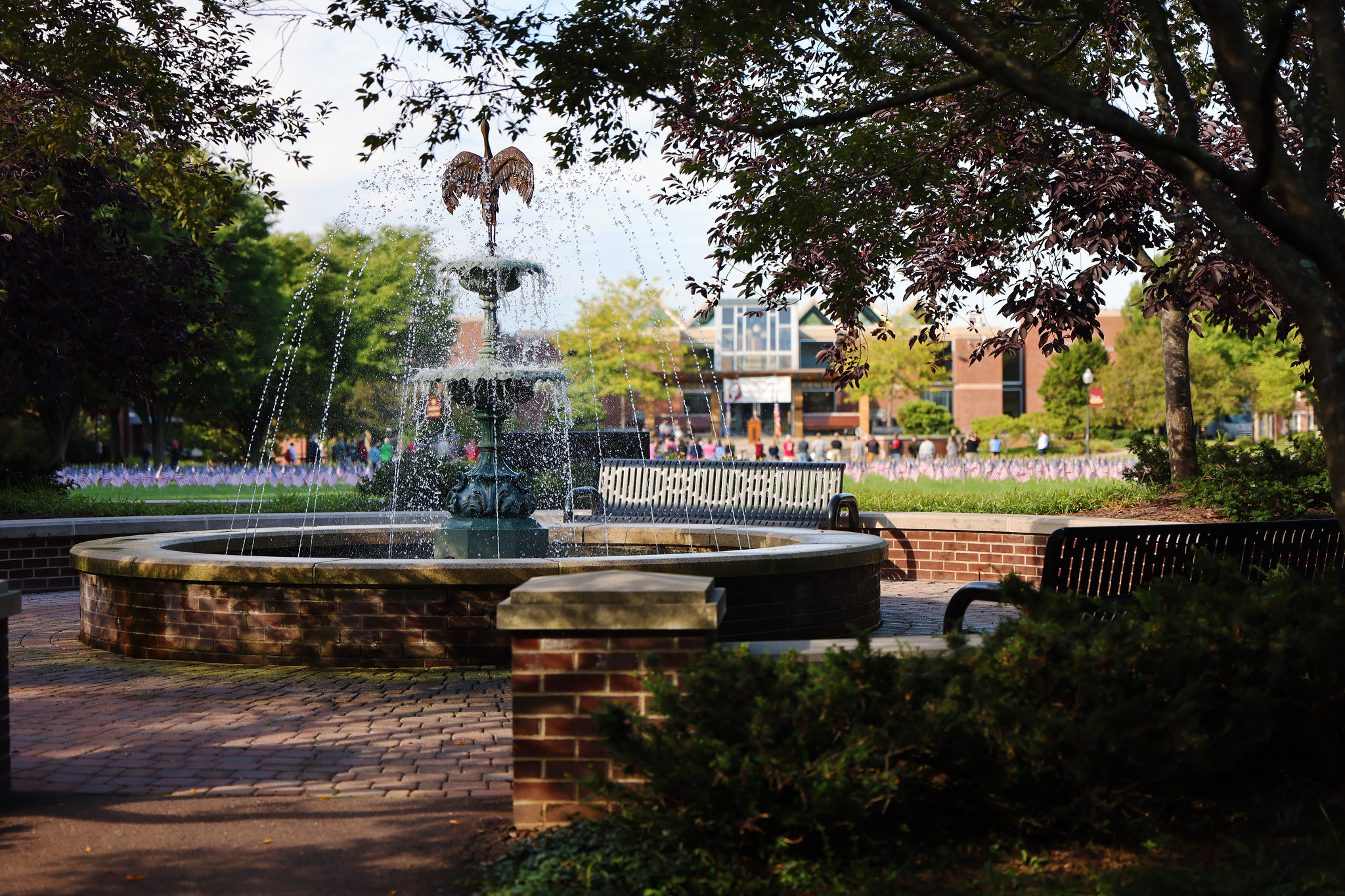 Commonwealth University 