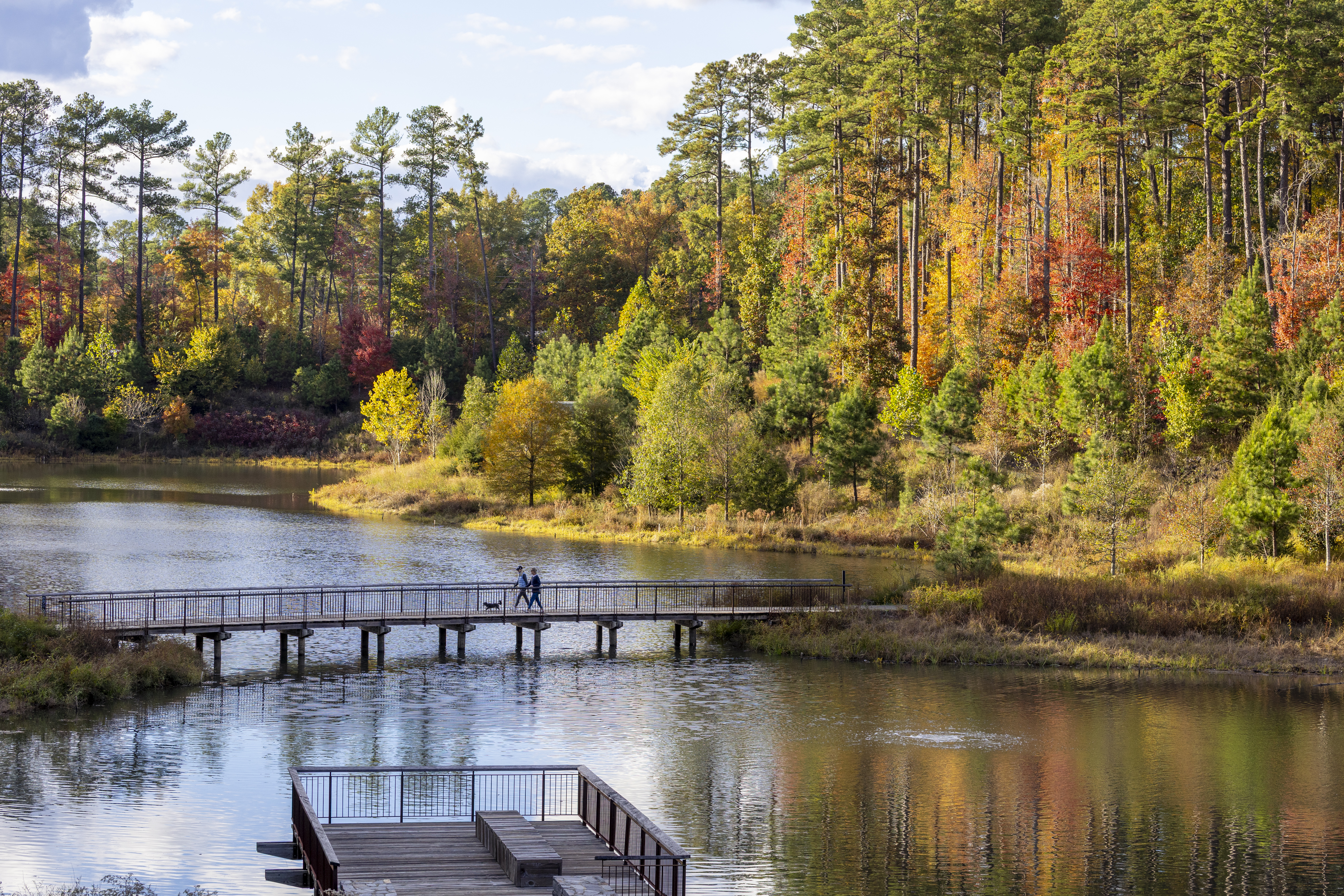 The Duke Reclamation Pond