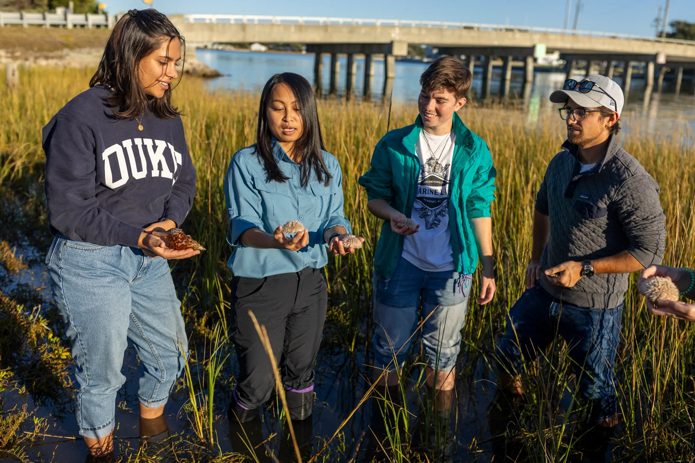 Juliet Wong, assistant professor of coastal and marine climate change, teaches students about sea urchins and other marine invertebrates at the Duke Marine Lab in Beaufort, NC. Wong, a Nicholas School of the Environment faculty member, uses a combination of physiological and molecular approaches to study how marine invertebrates respond to their changing environments.