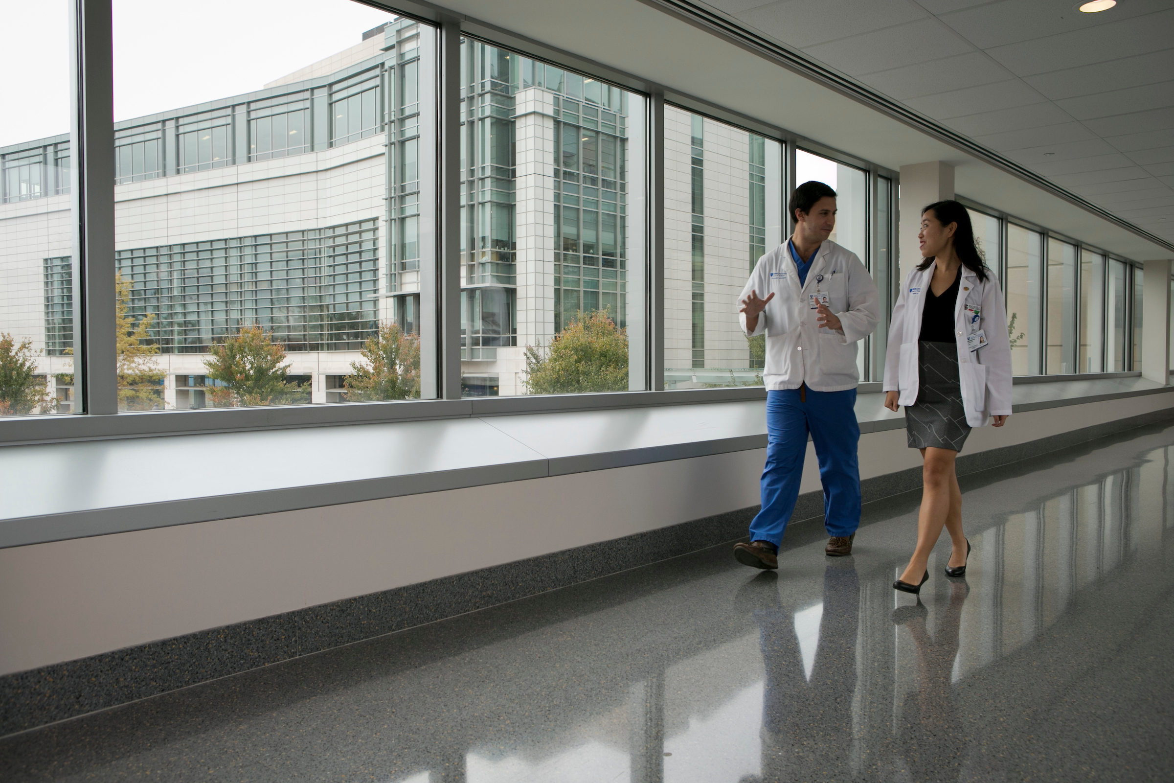 School of Medicine photograph