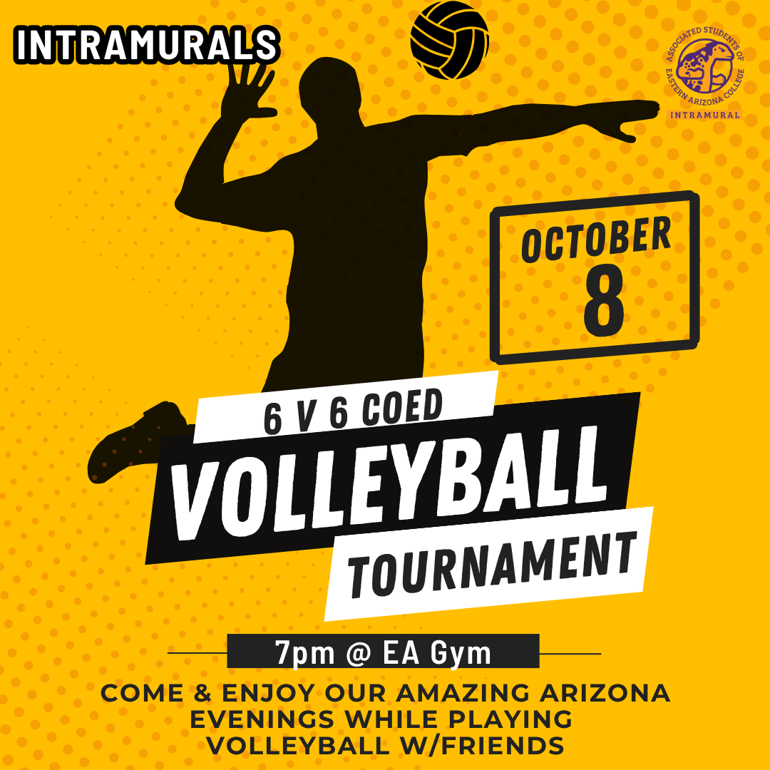 Image of Intramurals- Volleyball Tournament
