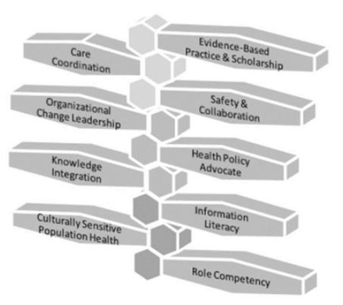 Evidence-based practice & scholarship, Care Coordination, Safety & Collaboration, Organizational Change Leadership, Health Policy Advocate, Knowledge Integration, Information Literacy, Culturally Sensitive Population Health, Role Competency