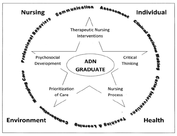 Nursing, Individual, Environment, Health.  Professional Behaviors, Communities, Assessment, Clinical Decision-Making, 