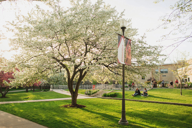 Spring at Edgewood