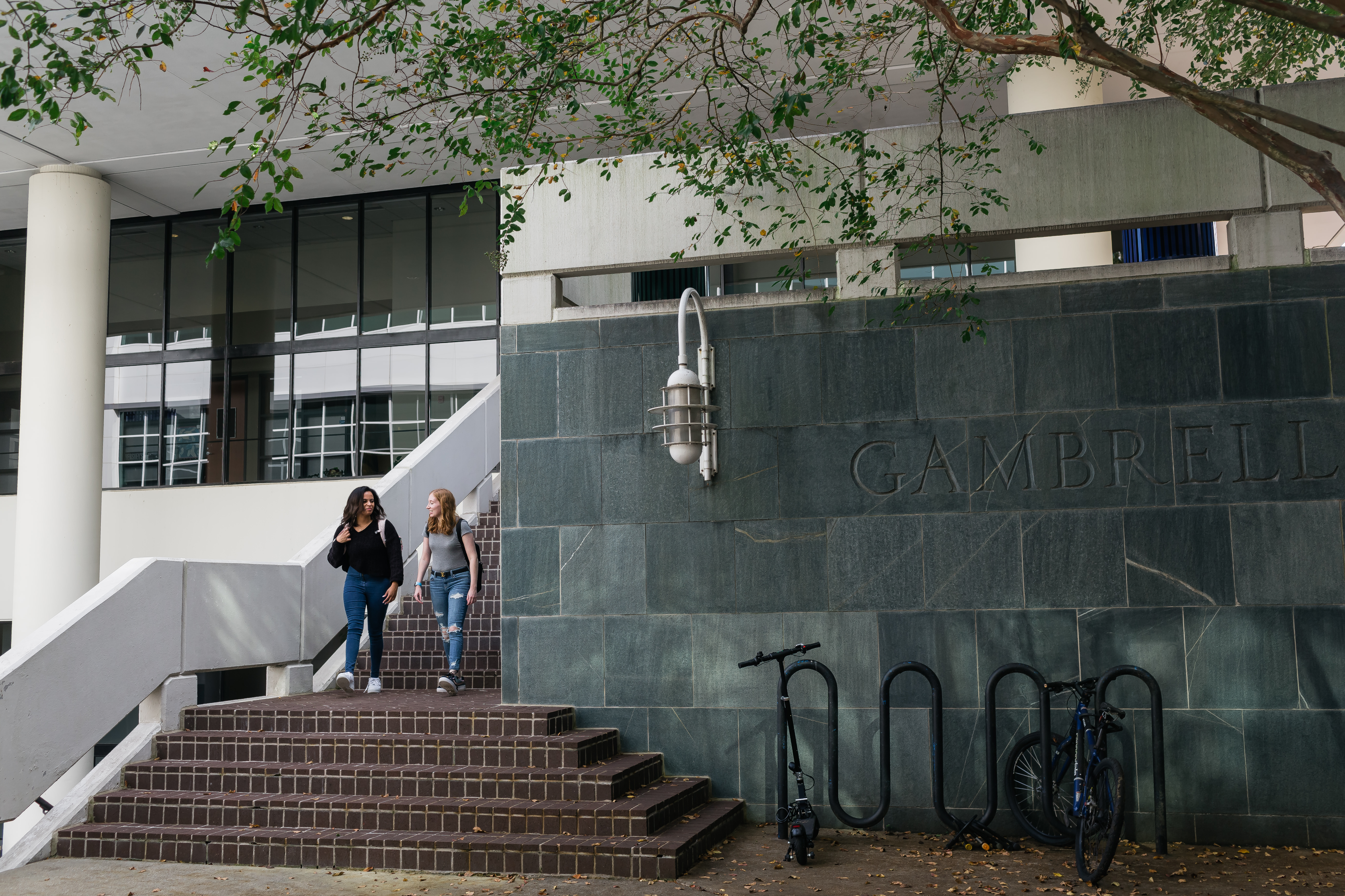 Matheson Reading Room Emory University