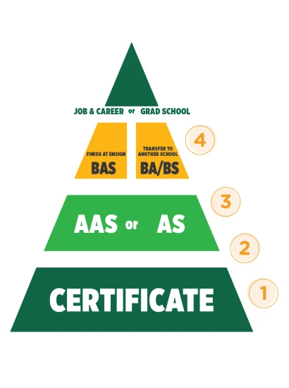 Degree pyramid