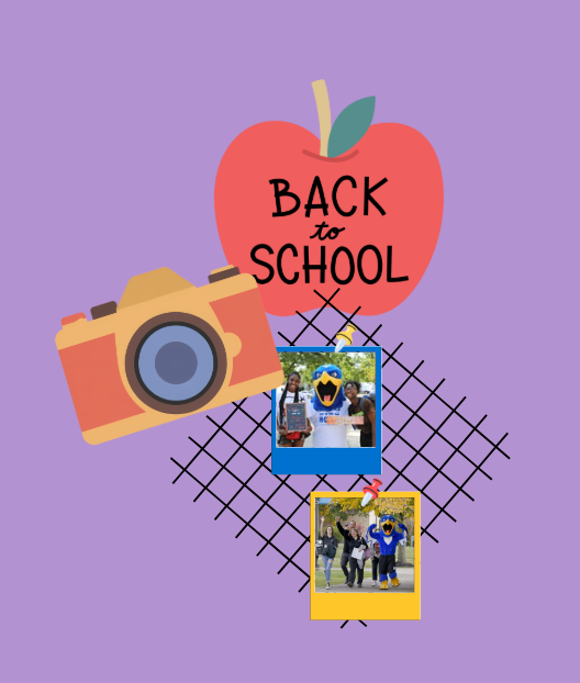 Image of First Day Photos and Inspiration Grids