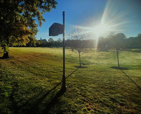 Image of Summer in the Heights 26' 