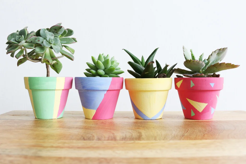 Image of Paint & Pot: Spring Succulent Pots