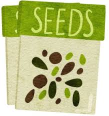 Image of Seed Swap and Giveaway