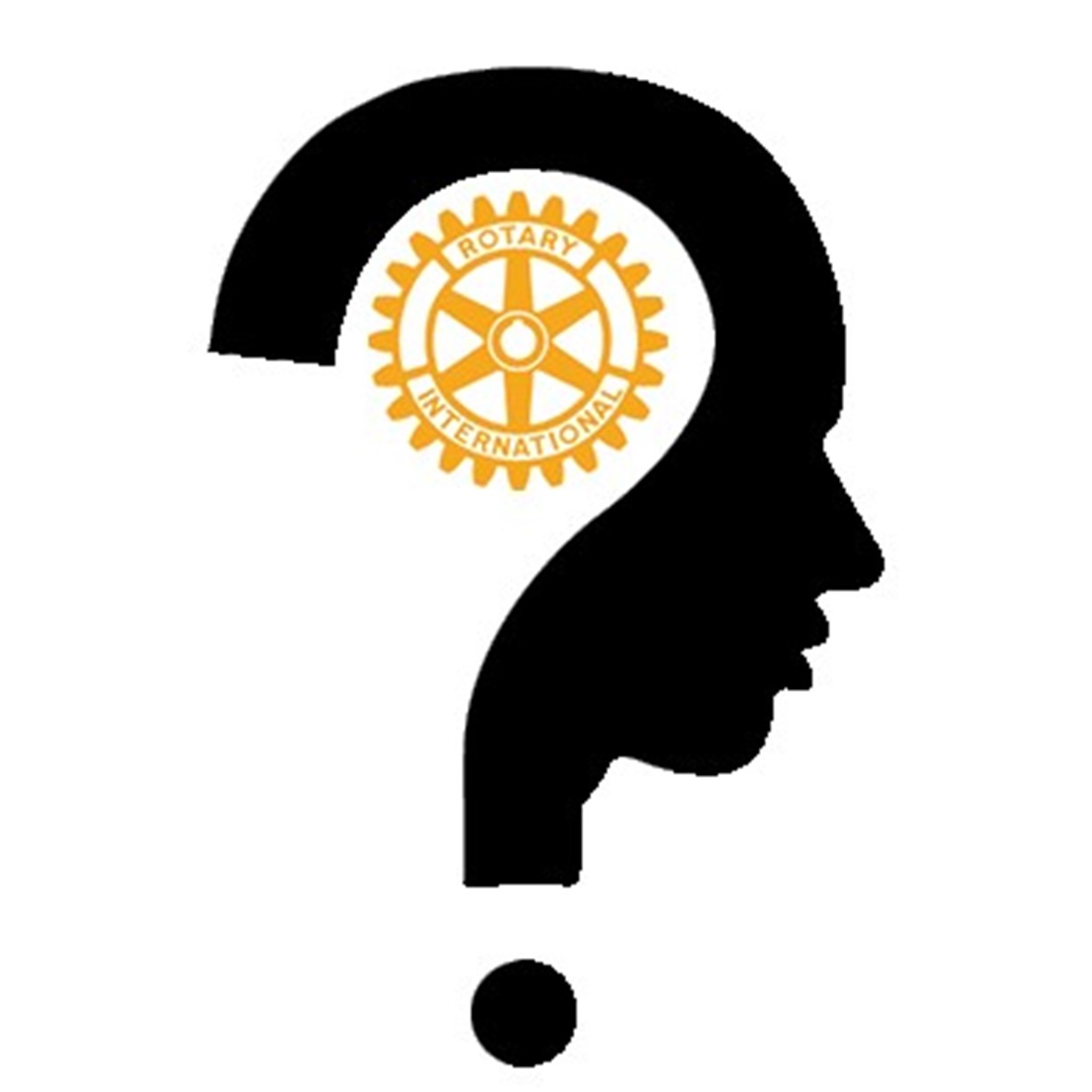 Image of Cranium Cup