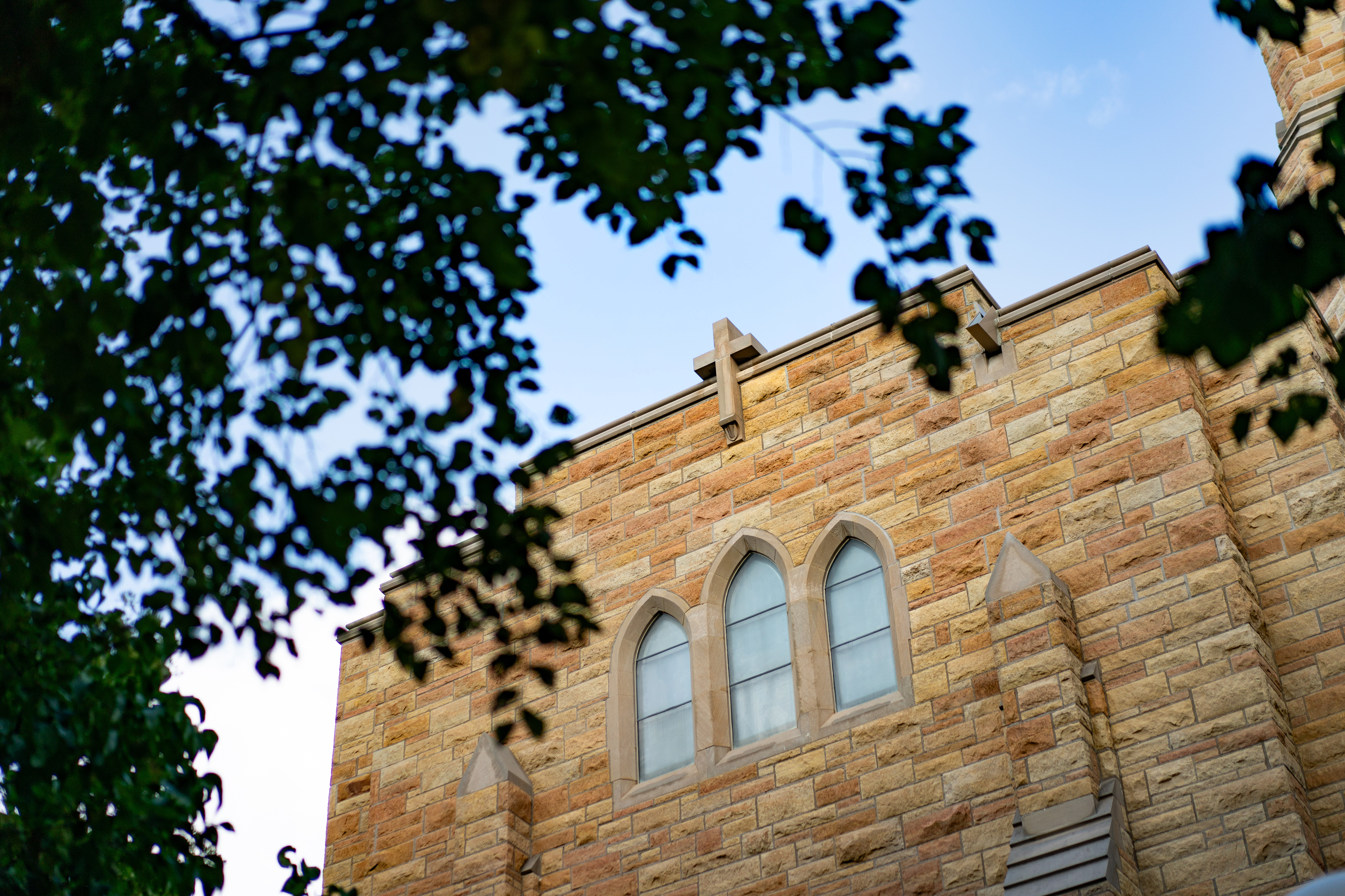 Building with Luther title and trees