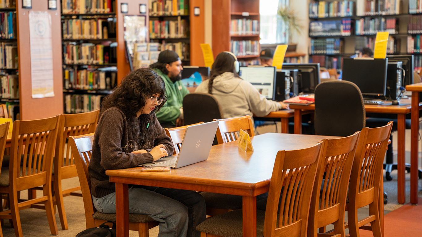 Person in the library