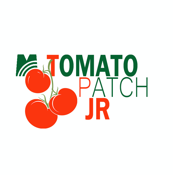 Image of TOMATO PATCH JR CLASSES (Kelsey)