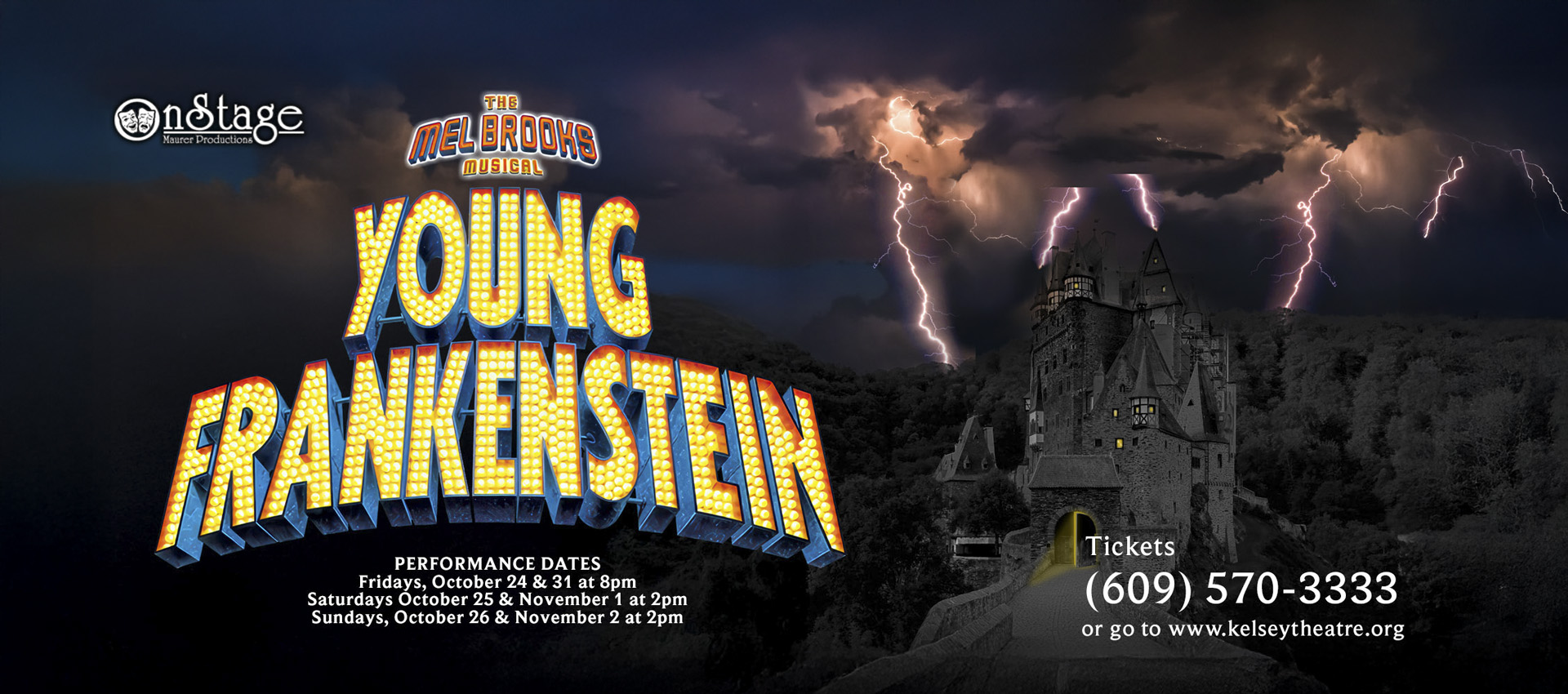 Image of Young Frankenstein