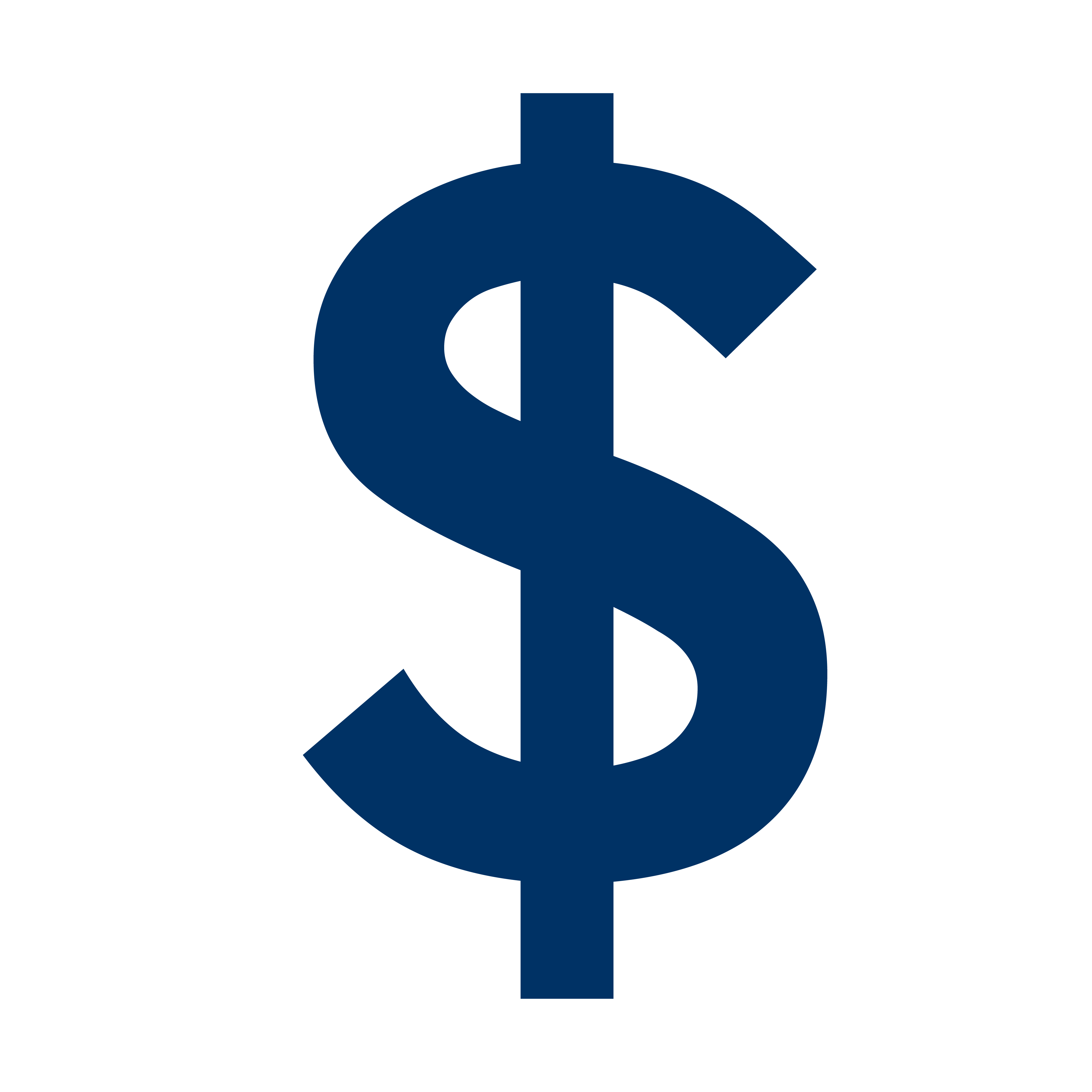 Dollar Sign Icon