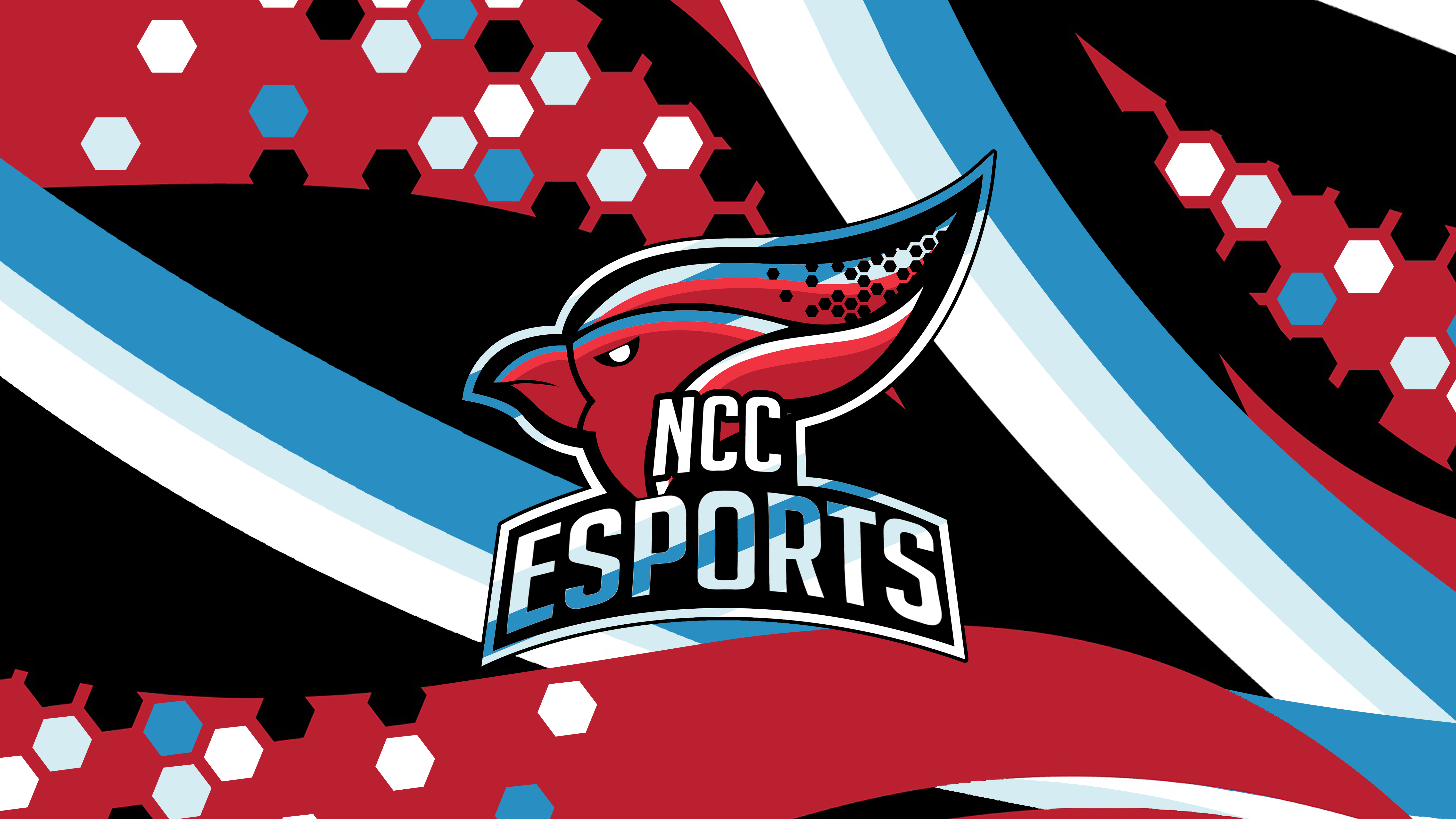 Image of NCC eSports General Membership Meeting