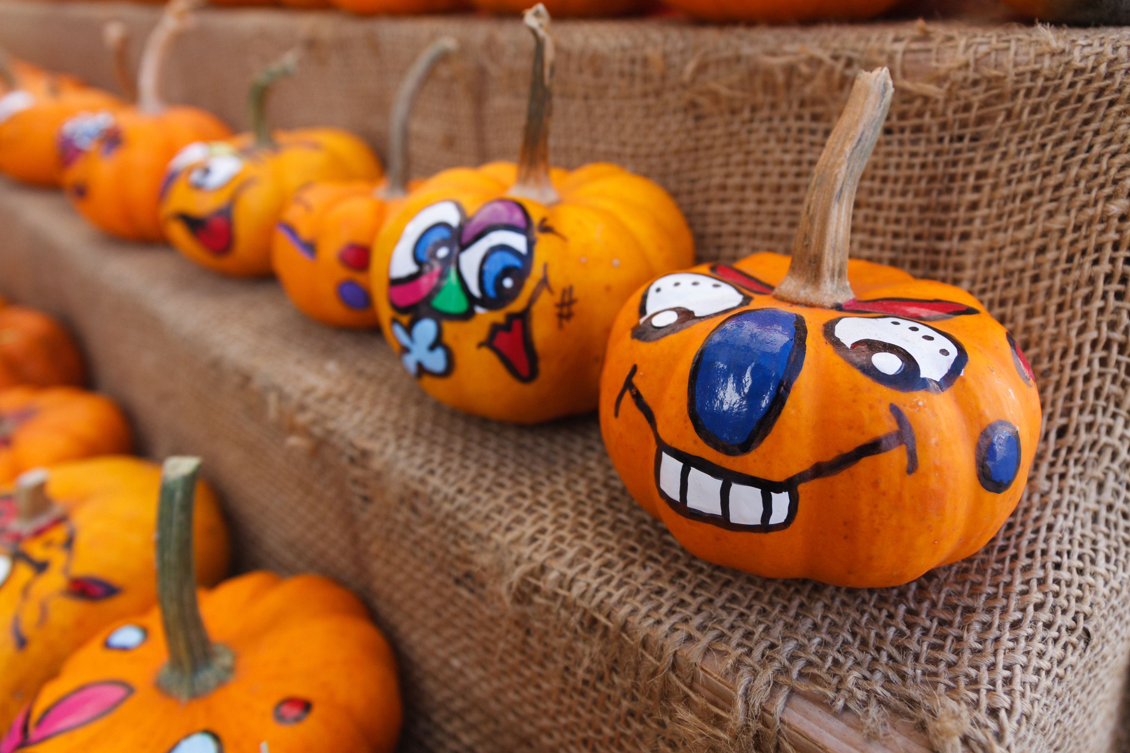 Image of Paint-A-Pumpkin with TriBeta