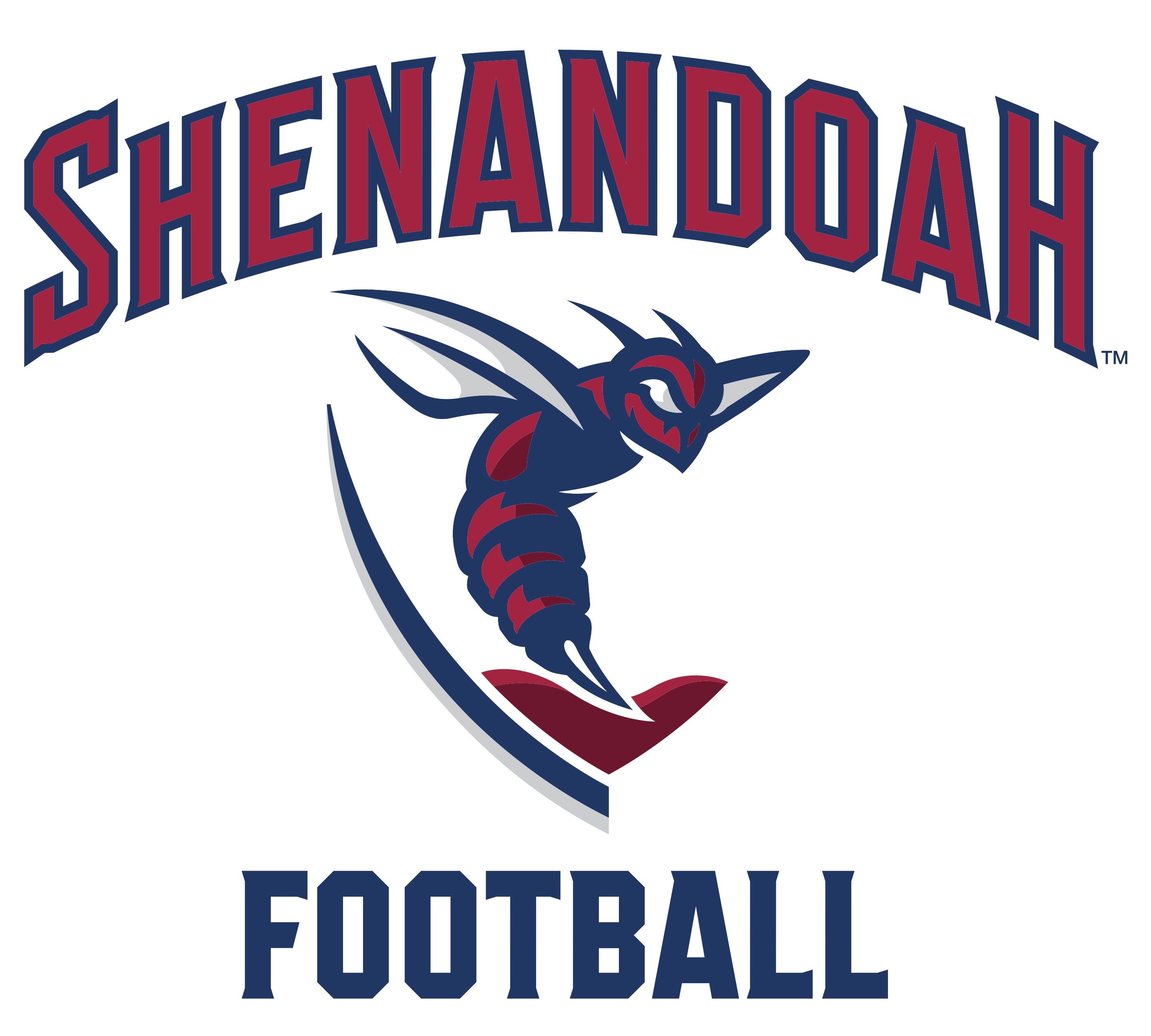 Image of Football Team Senior Day