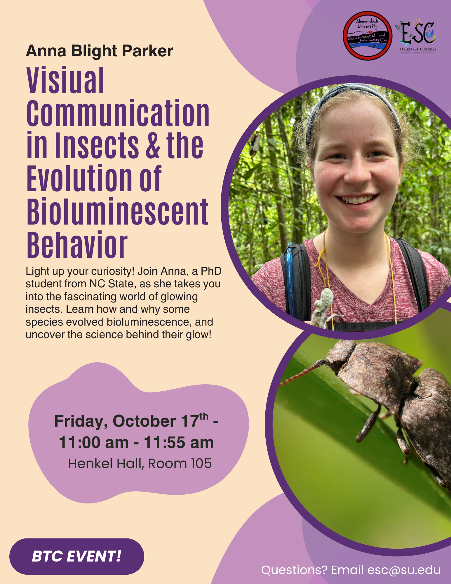 Image of Visual Communication in Insects and the Evolution of Bioluminescent Behavior