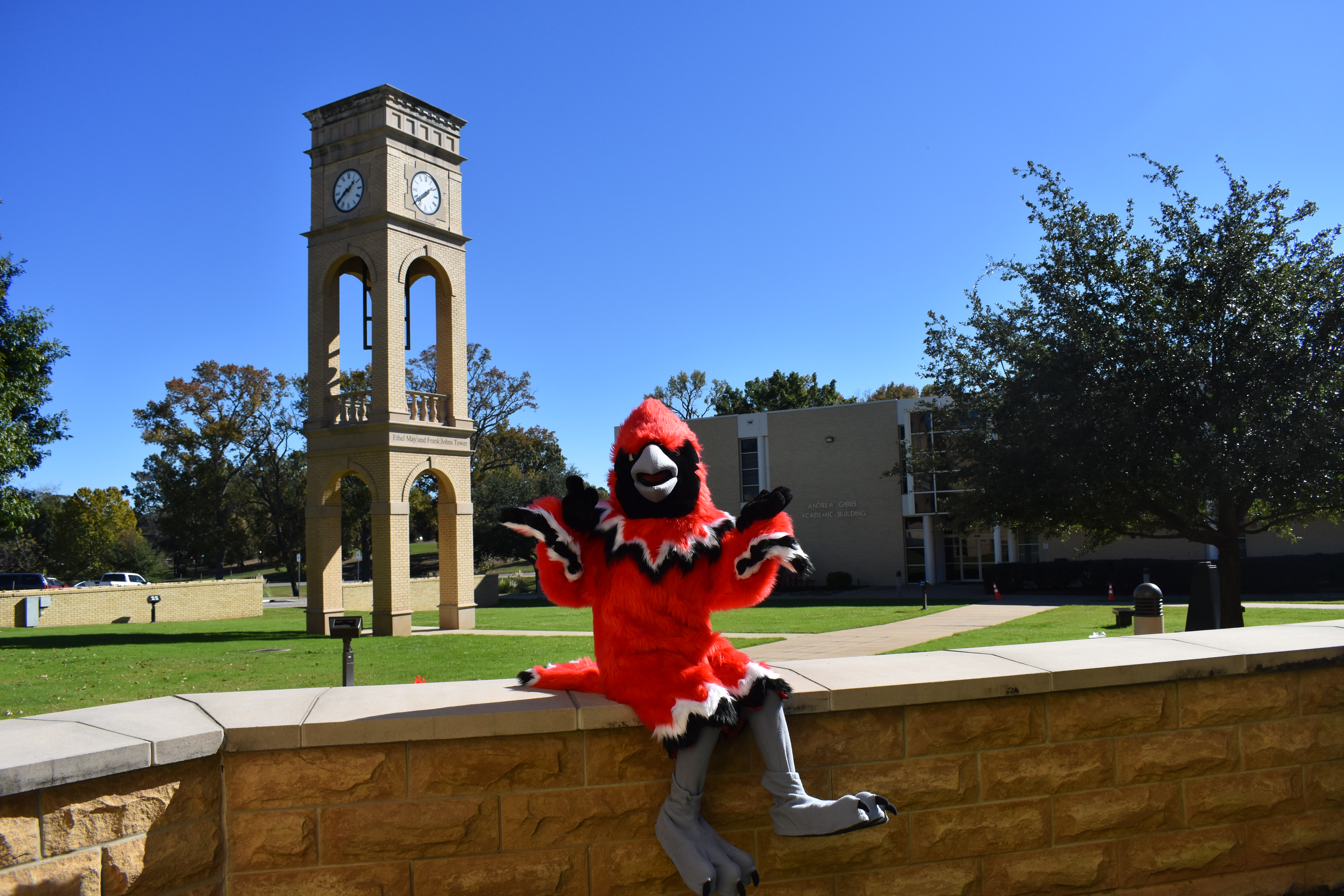Cardinal mascot sitting atop brick wall with clock tower and grassy plaza in background.