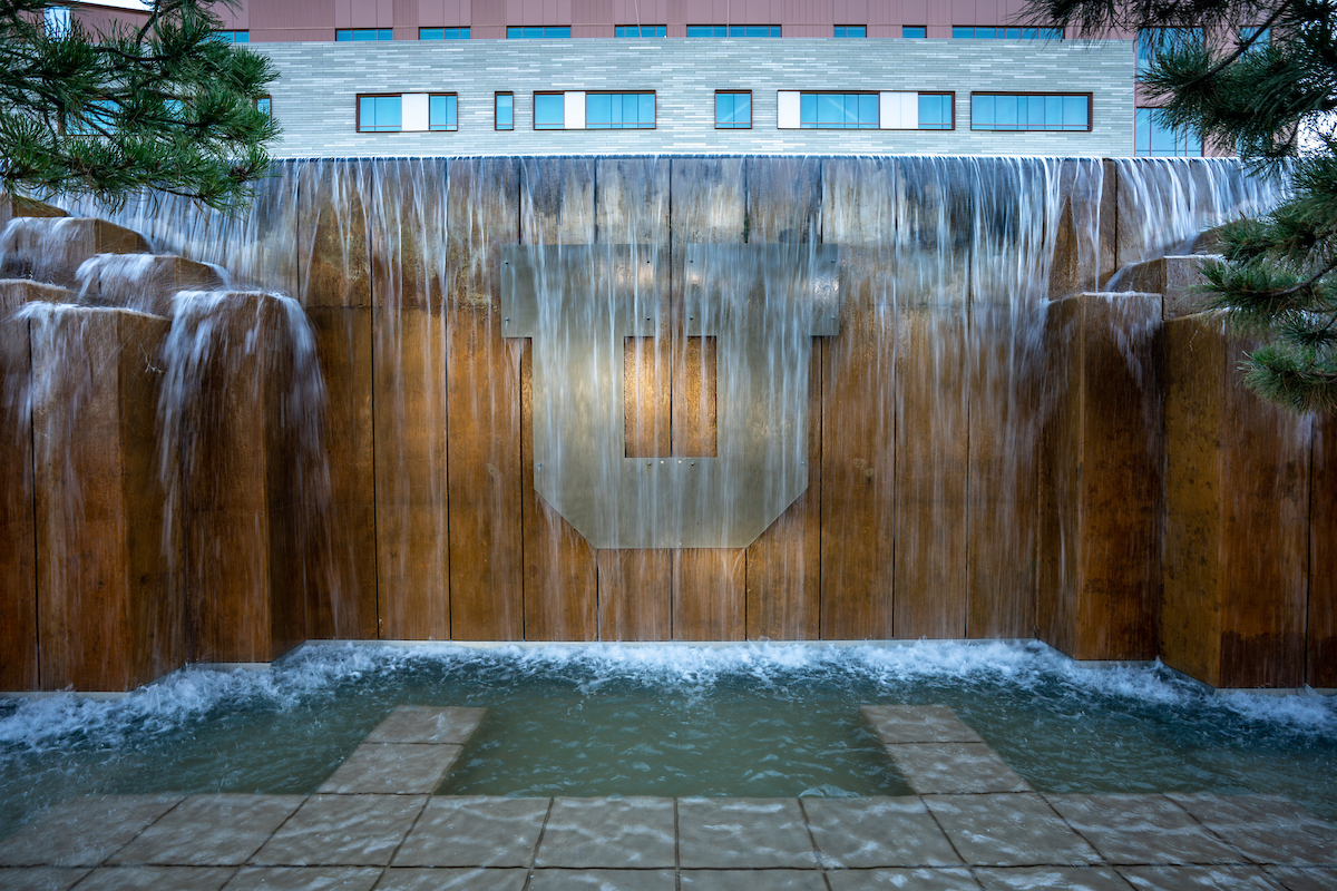 The University of Utah