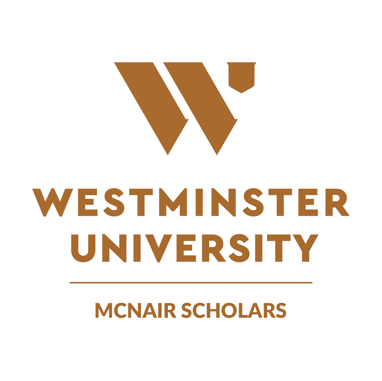 Image of McNair Scholars Program: Special Topics Panel