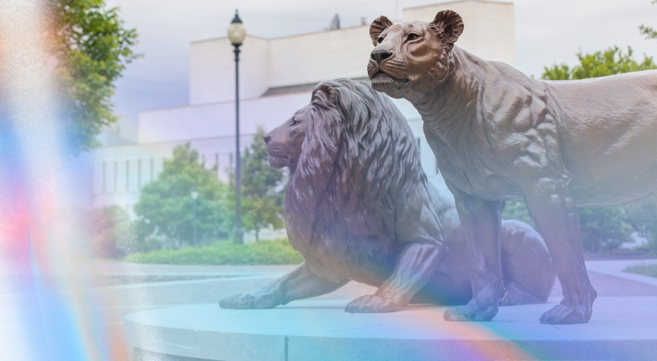 Image of Admissions Group Visit Presentation