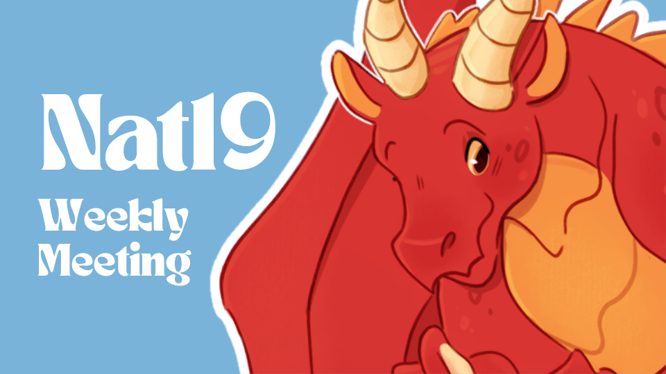 Image of Nat19 Weekly Meeting