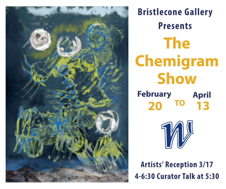 Image of The Chemigram Show