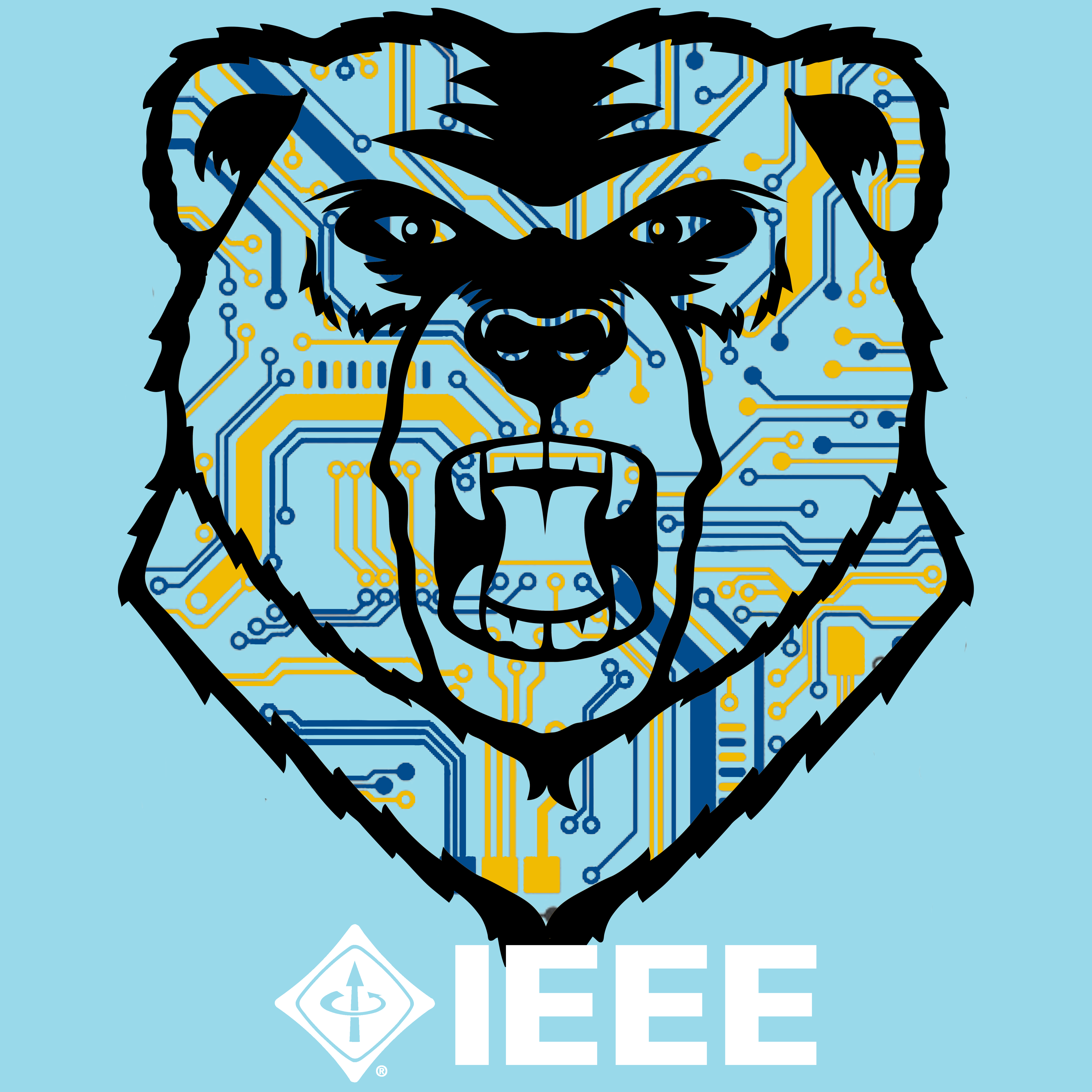Image of IEEE Weekly Meeting