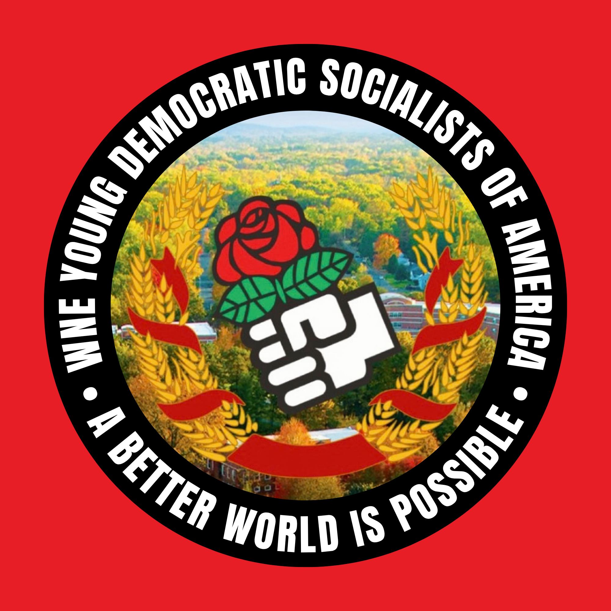 Image of WNE YDSA