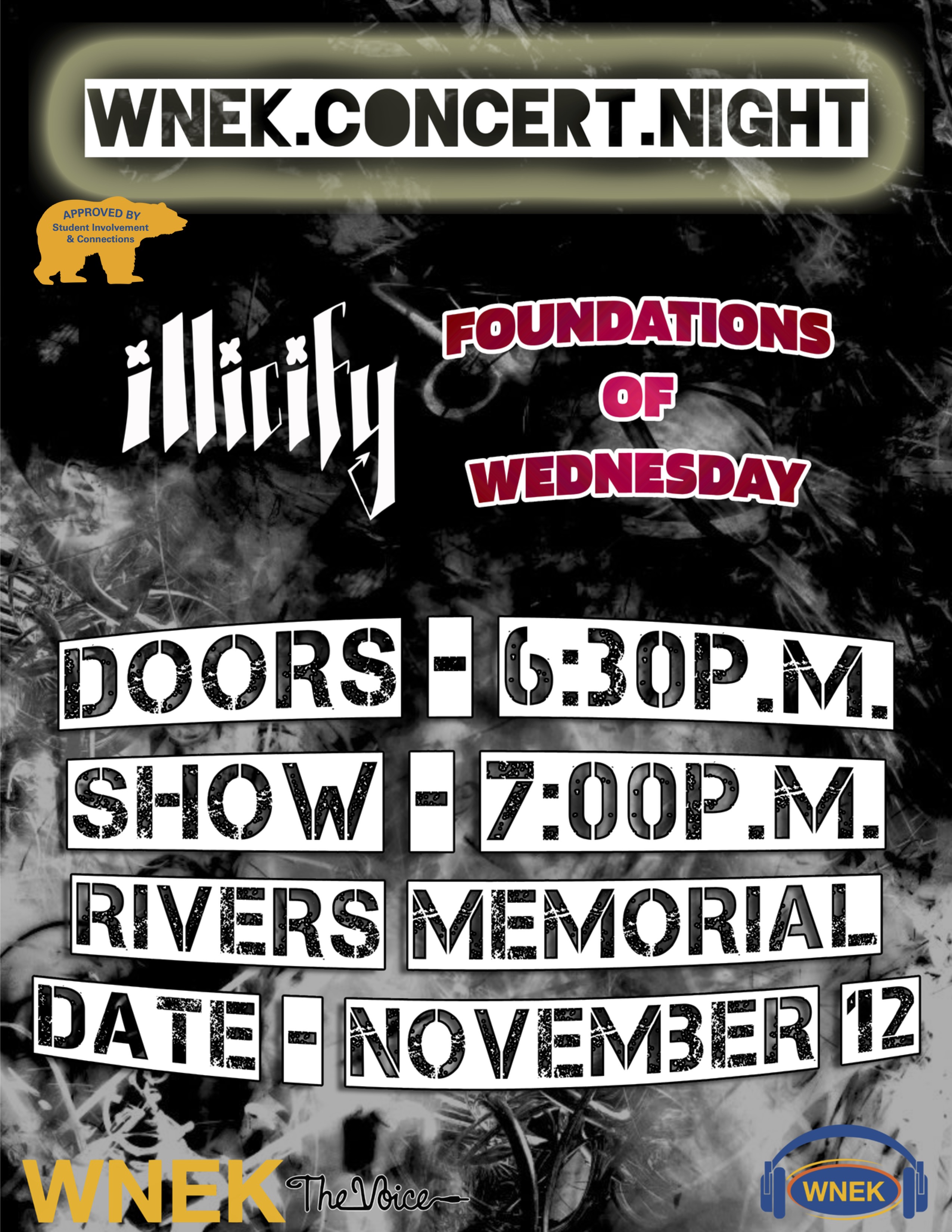 Image of WNEK Concert Night